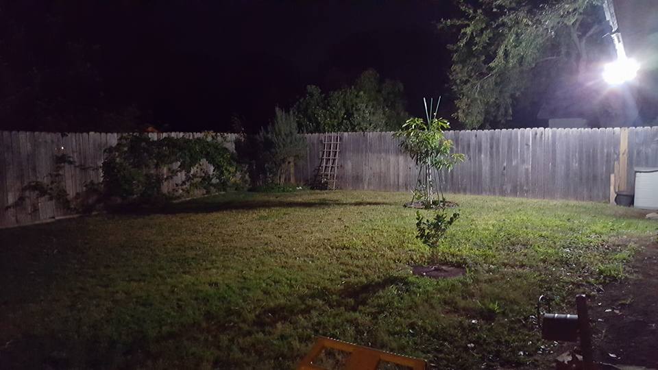 Exterior flood lighting installed by CW Electrical Services